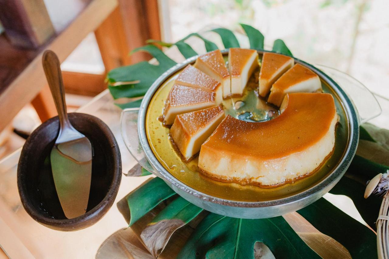 Paua Hotel Boutique Praia de Pipa ภายนอก รูปภาพ
